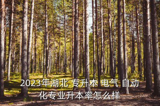 2023年湖北 專升本 電氣 自動(dòng)化專業(yè)升本率怎么樣