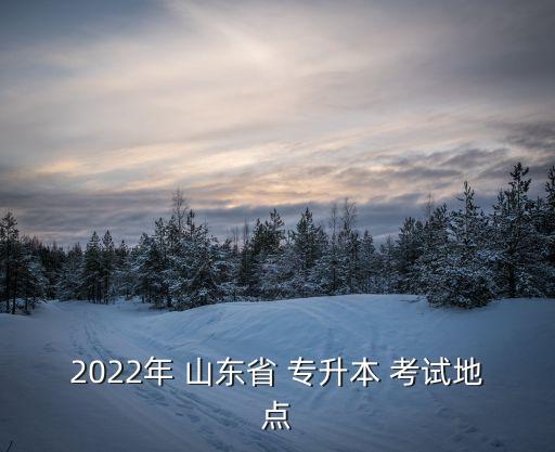 2022年 山東省 專升本 考試地點(diǎn)