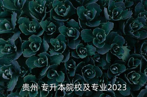  貴州 專升本院校及專業(yè)2023