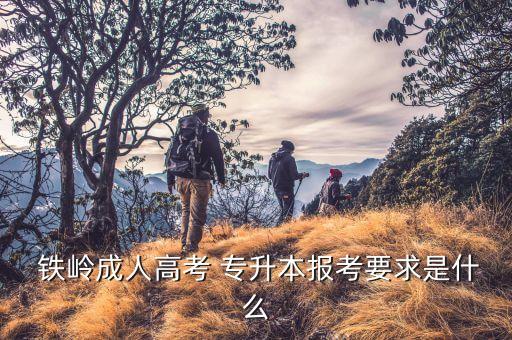  鐵嶺成人高考 專升本報(bào)考要求是什么