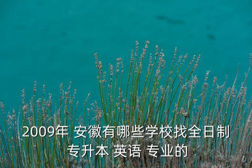 2009年 安徽有哪些學(xué)校找全日制 專升本 英語 專業(yè)的