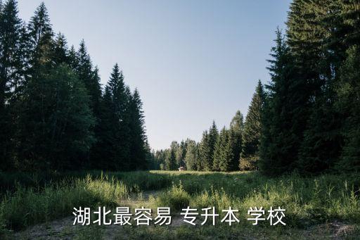 湖北最容易 專升本 學(xué)校