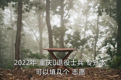 2022年 重慶?退役士兵 專升本可以填幾個 志愿