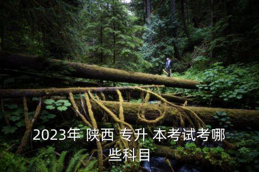 2023年 陜西 專升 本考試考哪些科目