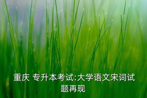  重慶 專升本考試:大學(xué)語(yǔ)文宋詞試題再現(xiàn)