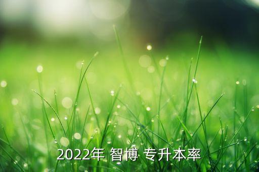 2022年 智博 專升本率