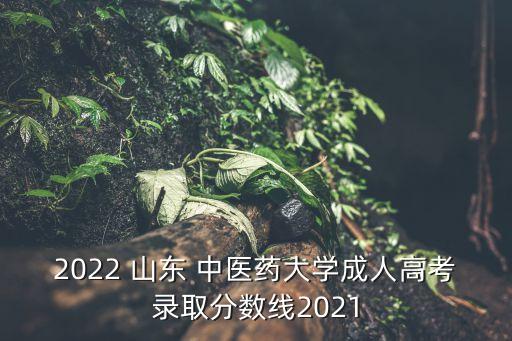 2022 山東 中醫(yī)藥大學成人高考錄取分數線2021