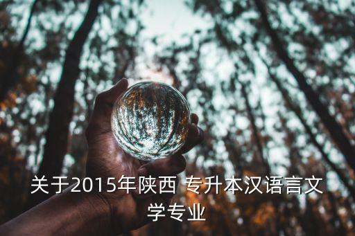 關(guān)于2015年陜西 專升本漢語言文學(xué)專業(yè)