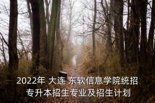 2022年 大連 東軟信息學(xué)院統(tǒng)招 專升本招生專業(yè)及招生計劃