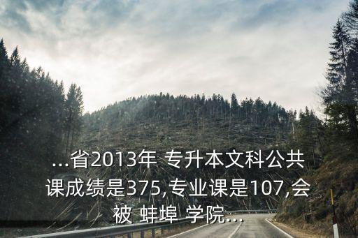 ...省2013年 專升本文科公共課成績(jī)是375,專業(yè)課是107,會(huì)被 蚌埠 學(xué)院...