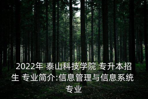 2022年 泰山科技學(xué)院 專升本招生 專業(yè)簡(jiǎn)介:信息管理與信息系統(tǒng) 專業(yè)