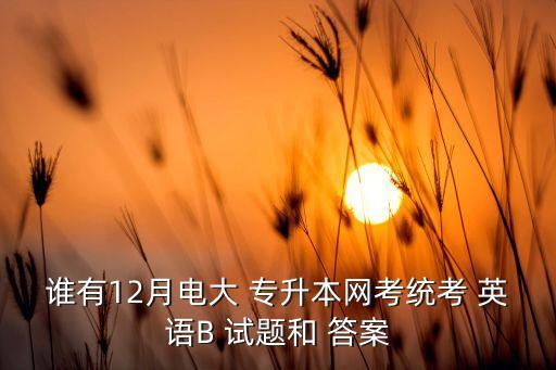 誰有12月電大 專升本網(wǎng)考統(tǒng)考 英語B 試題和 答案