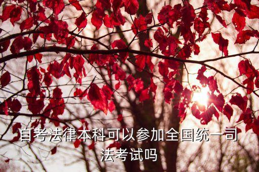  自考法律本科可以參加全國統(tǒng)一司 法考試嗎