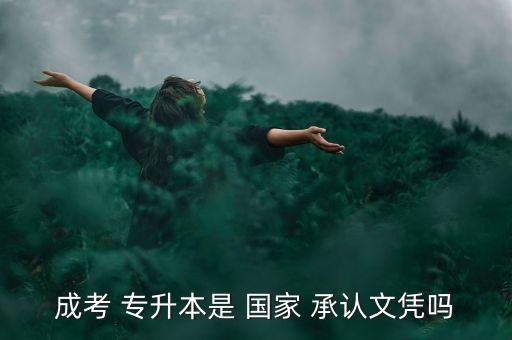 成考 專升本是 國家 承認文憑嗎