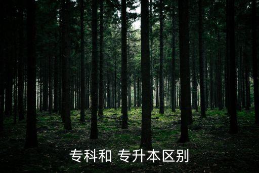 高職英語專升本學(xué)什么區(qū)別,高職專升本英語的難度