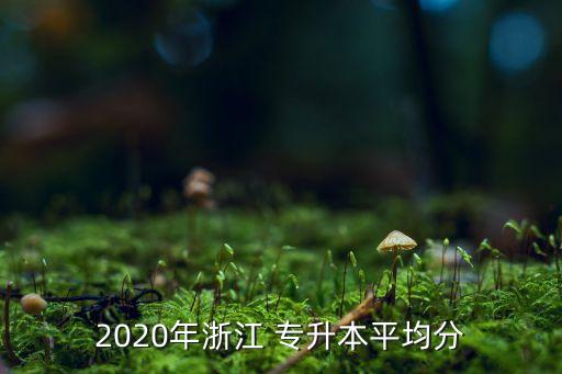 寧波理工學(xué)院專升本錄取,浙大寧波理工學(xué)院專升本2022