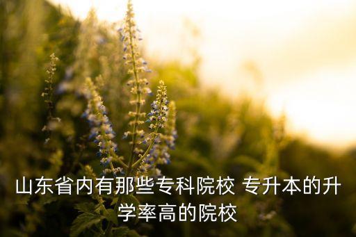 山東省內(nèi)有那些?？圃盒?專升本的升學率高的院校