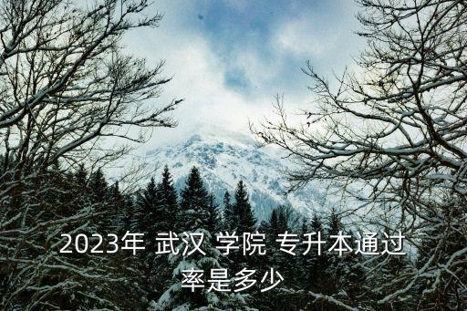 2023年 武漢 學院 專升本通過率是多少