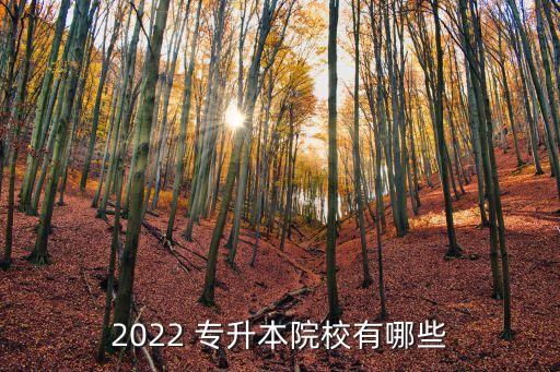 2022 專(zhuān)升本院校有哪些