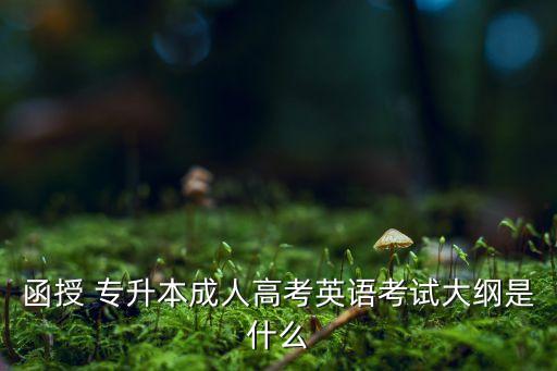 函授 專升本成人高考英語(yǔ)考試大綱是什么