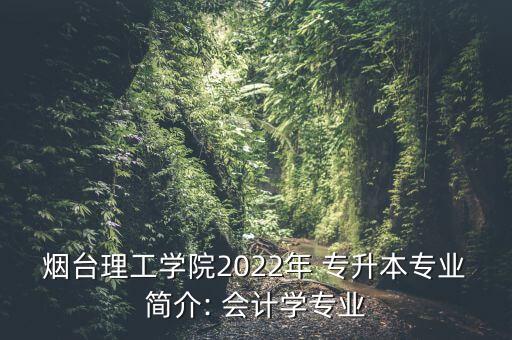 煙臺(tái)理工學(xué)院2022年 專升本專業(yè)簡(jiǎn)介: 會(huì)計(jì)學(xué)專業(yè)