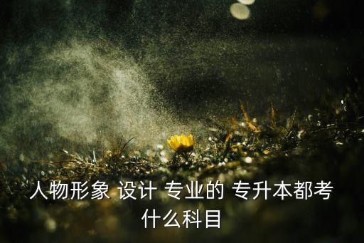 人物形象 設(shè)計(jì) 專業(yè)的 專升本都考什么科目