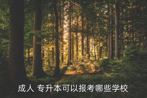 北京成考專升本科的大學(xué),成考專升本科可以換專業(yè)嗎