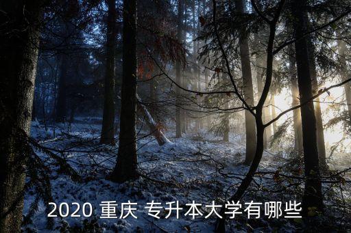 2020 重慶 專升本大學(xué)有哪些