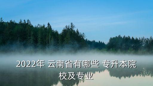 2022年 云南省有哪些 專升本院校及專業(yè)