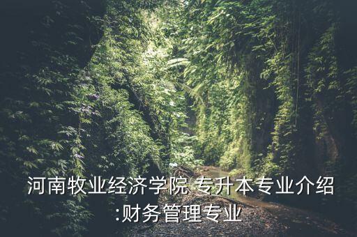 河南會計專升本管理學(xué)書,河南省會計專升本考試科目