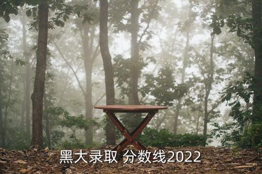 黑大錄取 分?jǐn)?shù)線2022