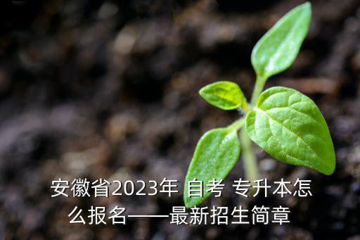  安徽省2023年 自考 專升本怎么報(bào)名——最新招生簡(jiǎn)章