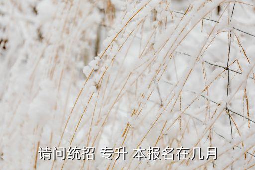 請(qǐng)問(wèn)統(tǒng)招 專(zhuān)升 本報(bào)名在幾月