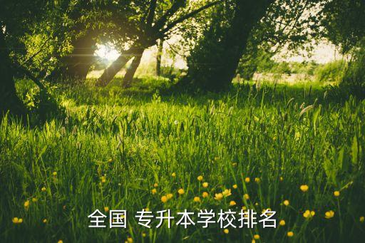 全國 專升本學校排名