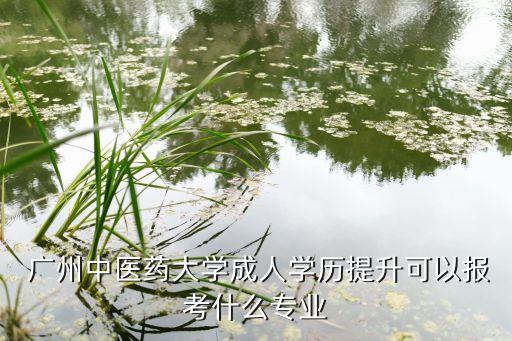  廣州中醫(yī)藥大學成人學歷提升可以報考什么專業(yè)