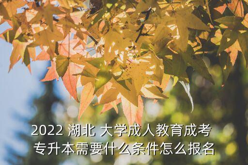 2022 湖北 大學成人教育成考 專升本需要什么條件怎么報名