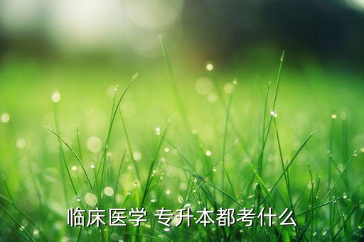 臨床醫(yī)學 專升本都考什么