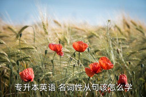  專升本英語 名詞性從句該怎么學(xué)