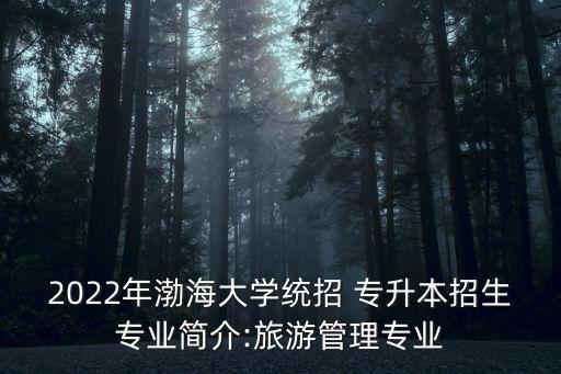 2022年渤海大學(xué)統(tǒng)招 專升本招生專業(yè)簡(jiǎn)介:旅游管理專業(yè)