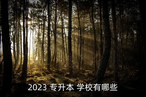 2023 專升本 學(xué)校有哪些