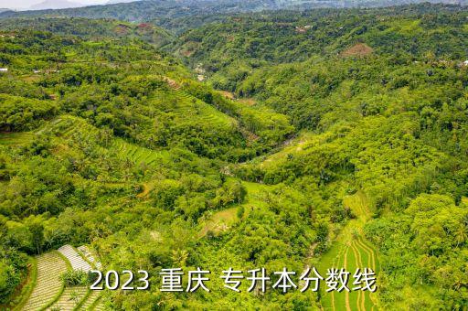 2023 重慶 專升本分數(shù)線