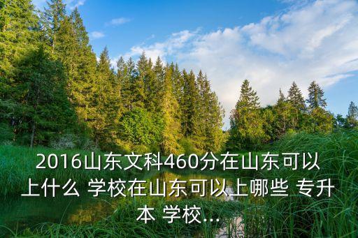 2016山東文科460分在山東可以上什么 學(xué)校在山東可以上哪些 專升本 學(xué)校...