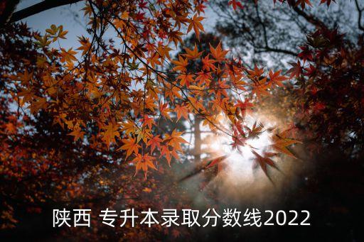 陜西省教委專(zhuān)升本,上海市教委專(zhuān)升本2022