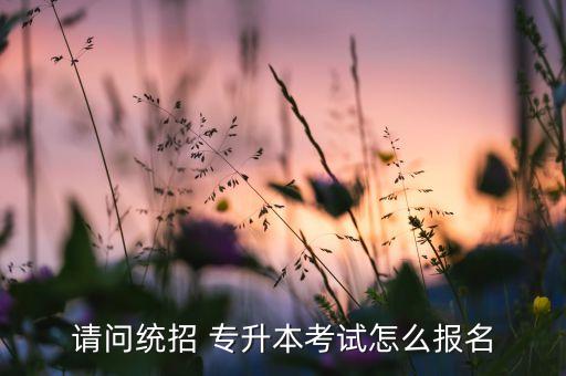 請問統(tǒng)招 專升本考試怎么報(bào)名