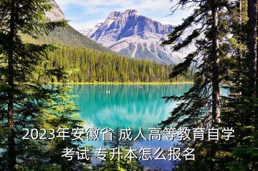 2023年安徽省 成人高等教育自學(xué)考試 專升本怎么報名