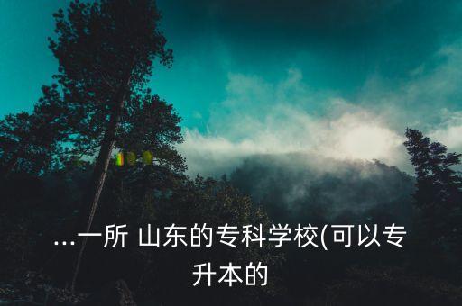 ...一所 山東的?？茖W校(可以專升本的