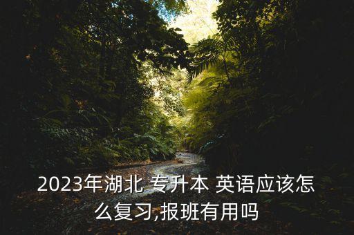 2023年湖北 專升本 英語應該怎么復習,報班有用嗎