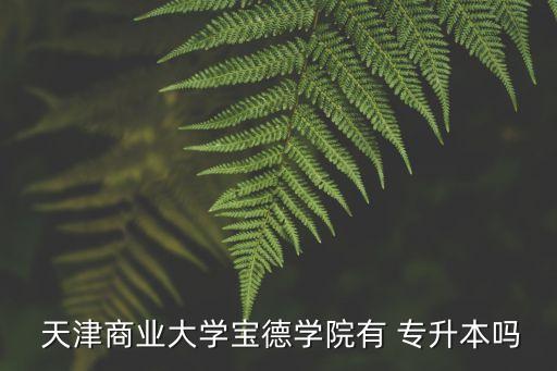  天津商業(yè)大學(xué)寶德學(xué)院有 專升本嗎