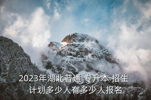 2023年湖北普通 專(zhuān)升本 招生 計(jì)劃多少人有多少人報(bào)名