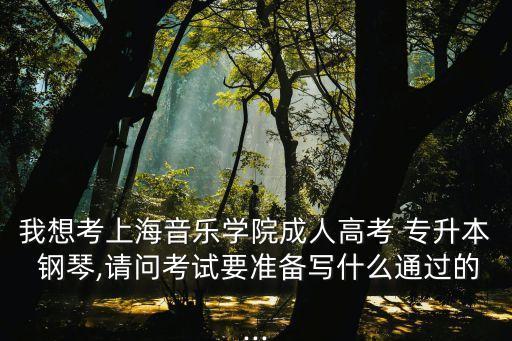 我想考上海音樂(lè)學(xué)院成人高考 專升本 鋼琴,請(qǐng)問(wèn)考試要準(zhǔn)備寫(xiě)什么通過(guò)的...